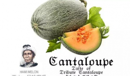 吃瓜爆料配乐是什么意思